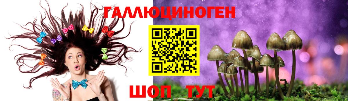 закладки  Галлюциногенные грибы Magic Shrooms  Вход с VPN  Прокопьевск 